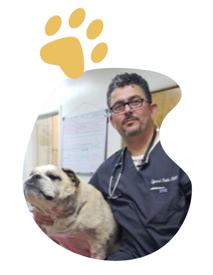 Doctor in Lab coat-wearing man holding a dog.